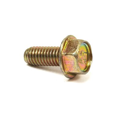 Briggs Lo206 Metric Screw, M6 x 1, for Cylinder Head Plate