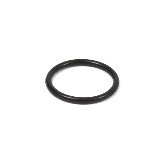 Briggs Lo206 Carburetor O-Ring Seal