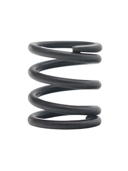 Valve Spring (Intake & Exhaust)