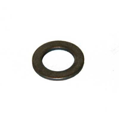 Flywheel Washer