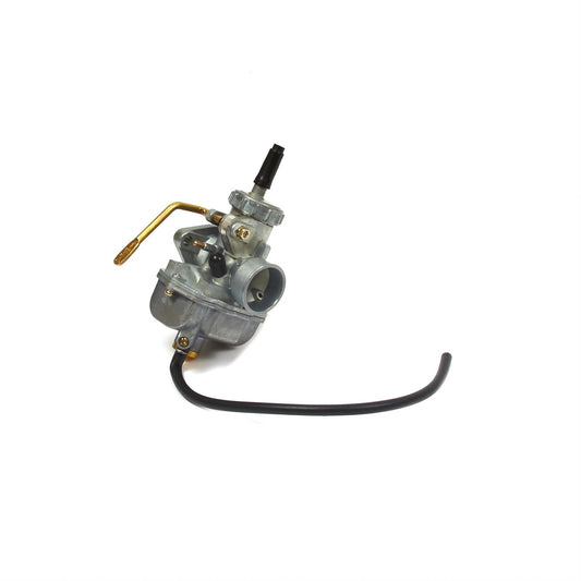 Briggs 206 Carburetor Assembly