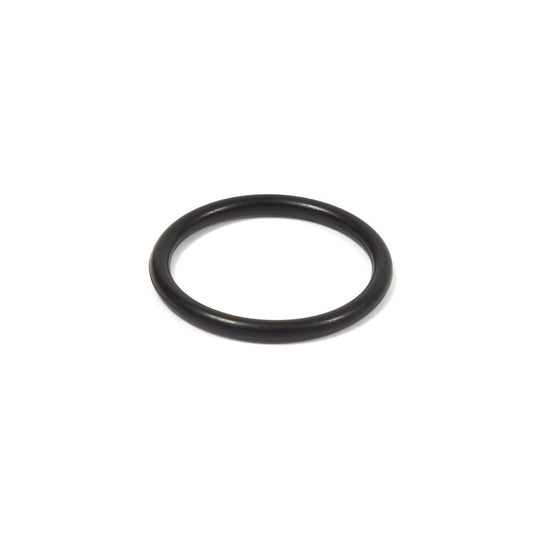 Briggs 206 Carburetor O-Ring Seal